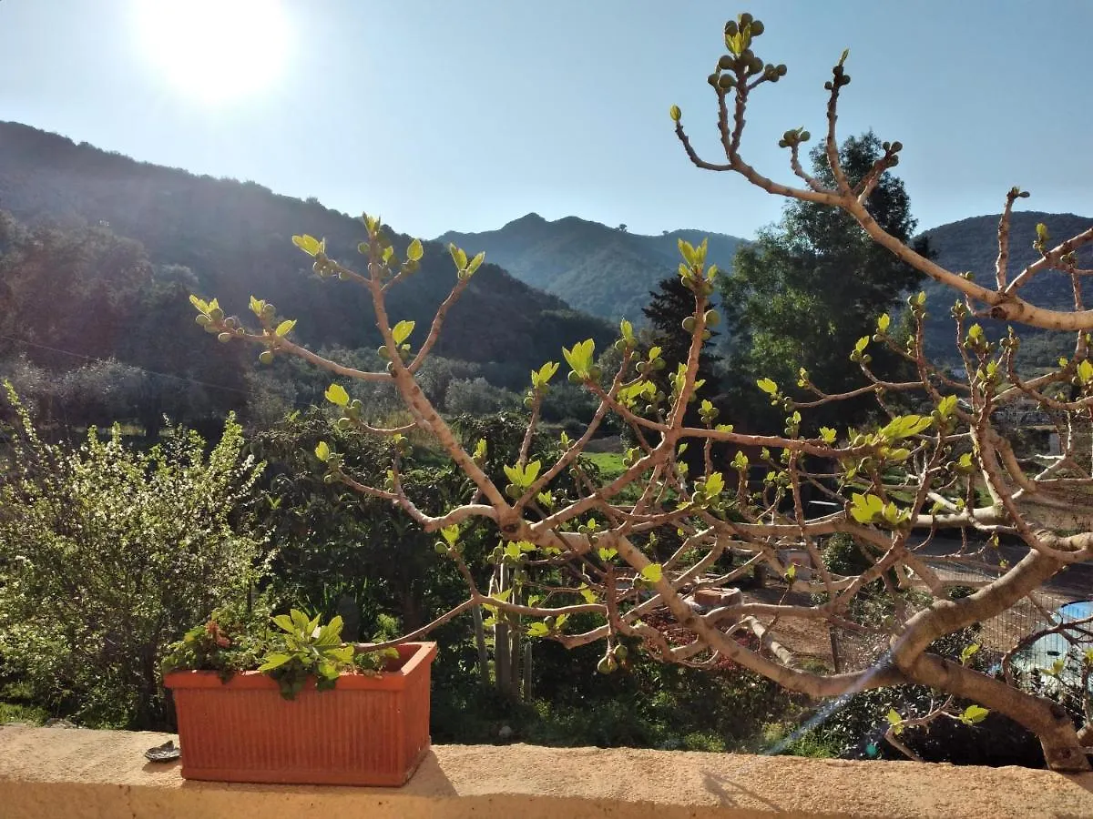 Casa La Rondine Apartment Portoferraio